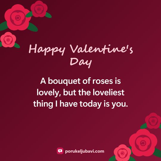 Happy Valentine's Day: A bouquet of roses is lovely, but the loveliest thing I have today is you.