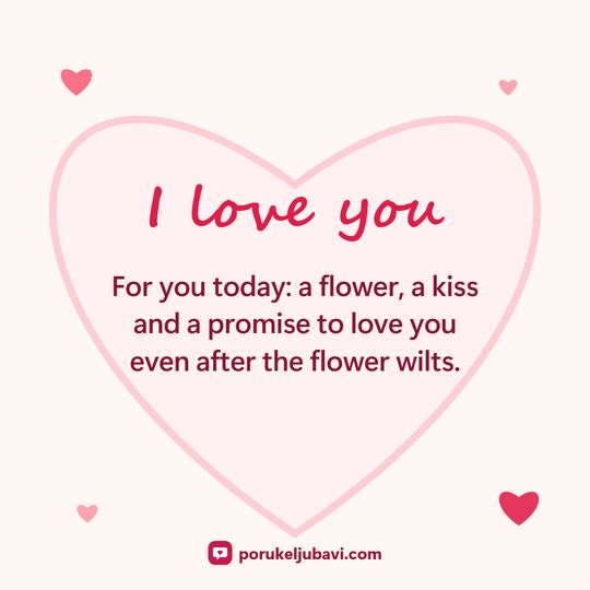 I love you: For you today: a flower, a kiss and a promise to love you even after the flower wilts.